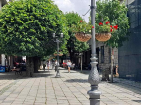 Sibirska Central Kolašin